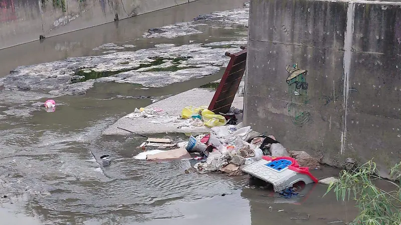 Canal Patria Foto Pablo Toledo  (3).jpg